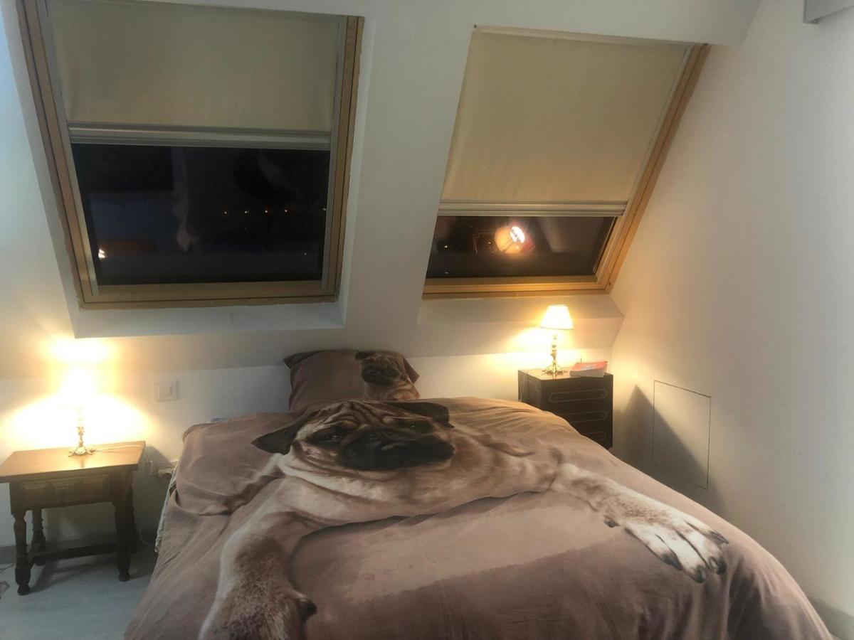 Ferienwohnung Guadarrama, Atico Nuevo Con Espectaculares Vistas Exterior foto